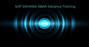 SAP S/4HANA ABAP expert conducting advanced development training on custom enhancement techniques and S/4HANA tools