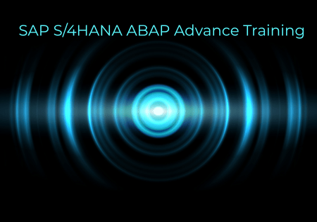 SAP S/4HANA ABAP expert conducting advanced development training on custom enhancement techniques and S/4HANA tools